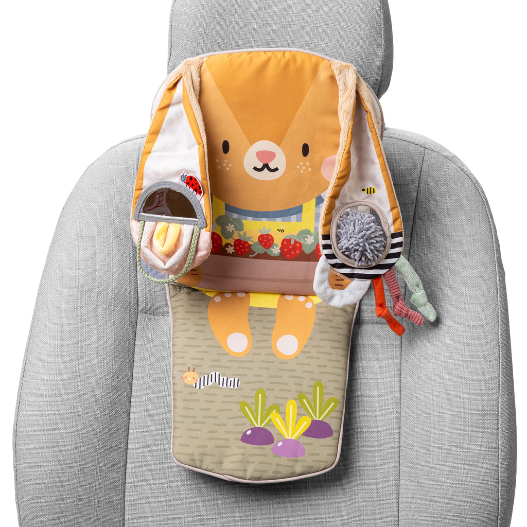 Bunny Play & Kick Car Toy