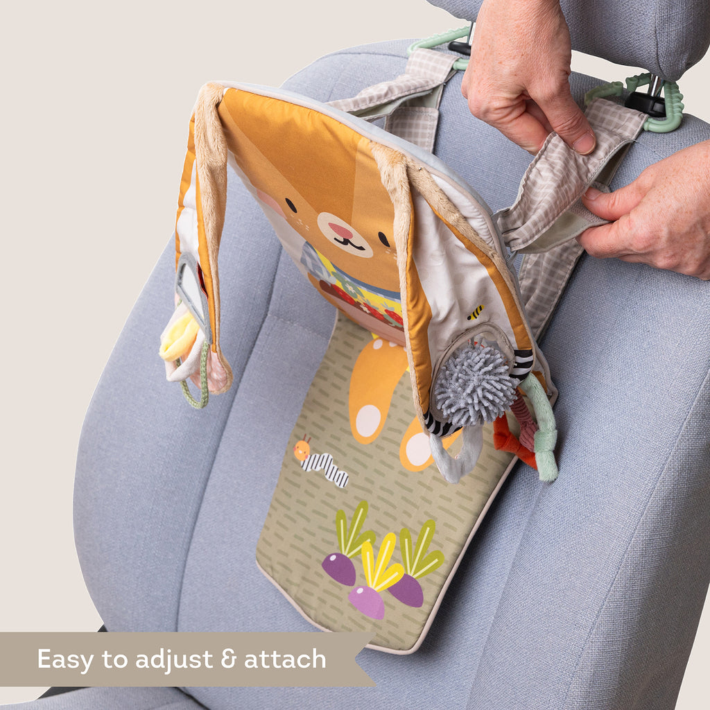 Bunny Play & Kick Car Toy