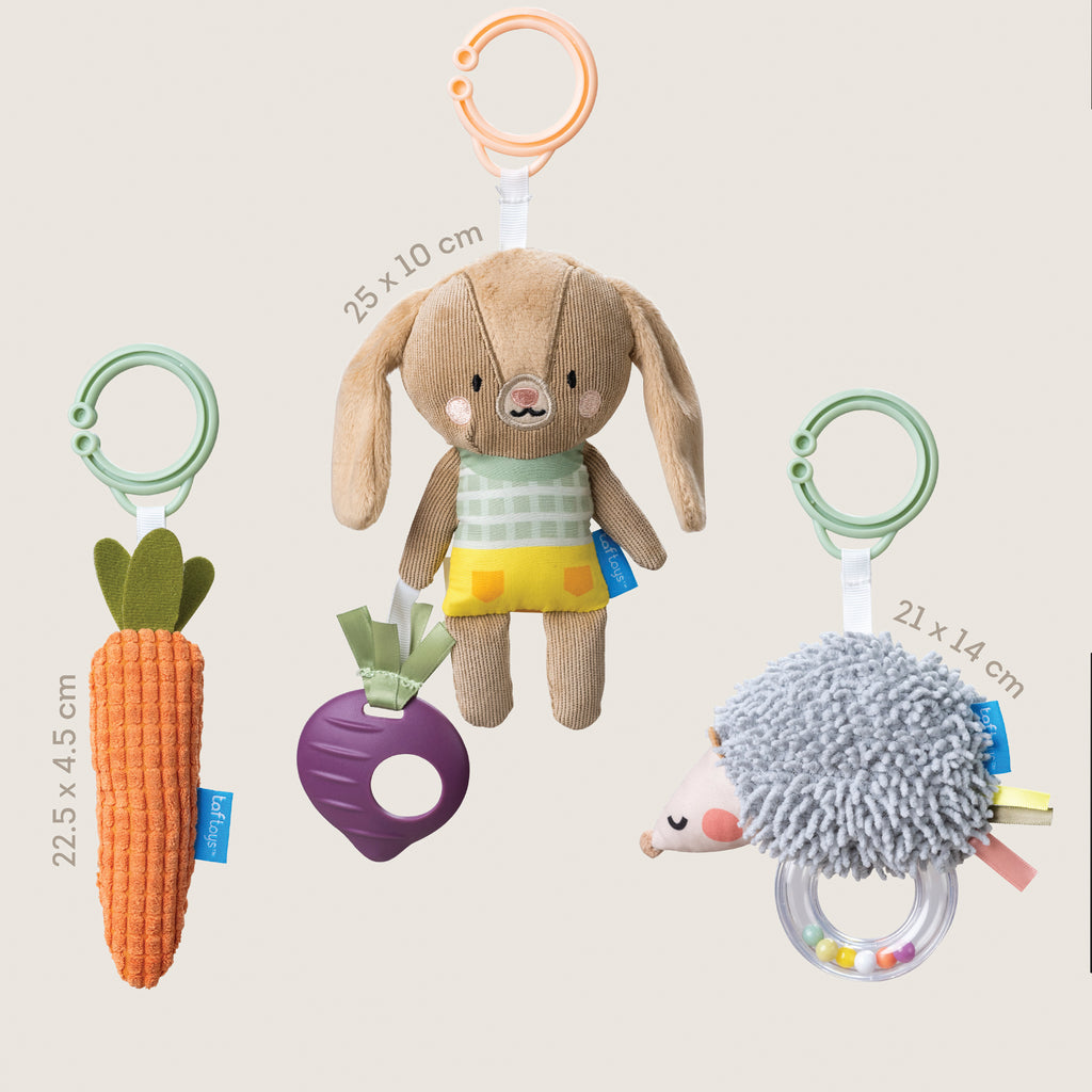 Urban Garden Baby Activity Toys Kit (3-Piece Set)
