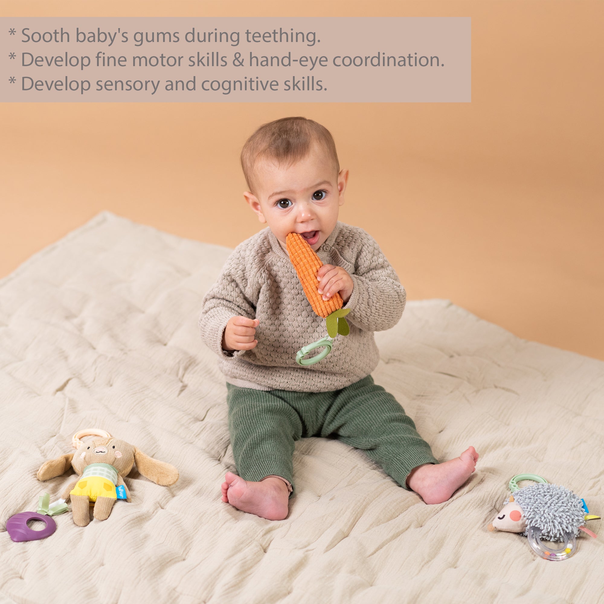 Urban Garden Baby Activity Toys Kit (3-Piece Set)