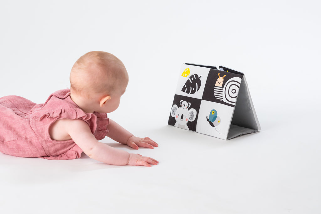 Tummy-Time Baby Mirror Book (Double-Sided High-Contrast)