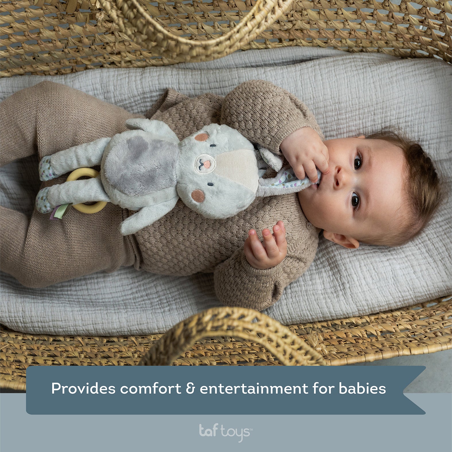 Rylee Musical Bunny – Soft Lullaby Plush