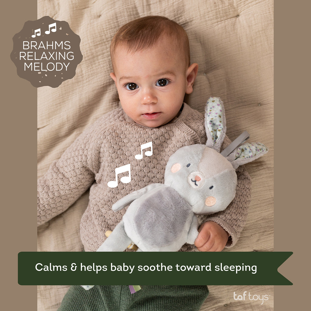 Rylee Musical Bunny – Soft Lullaby Plush