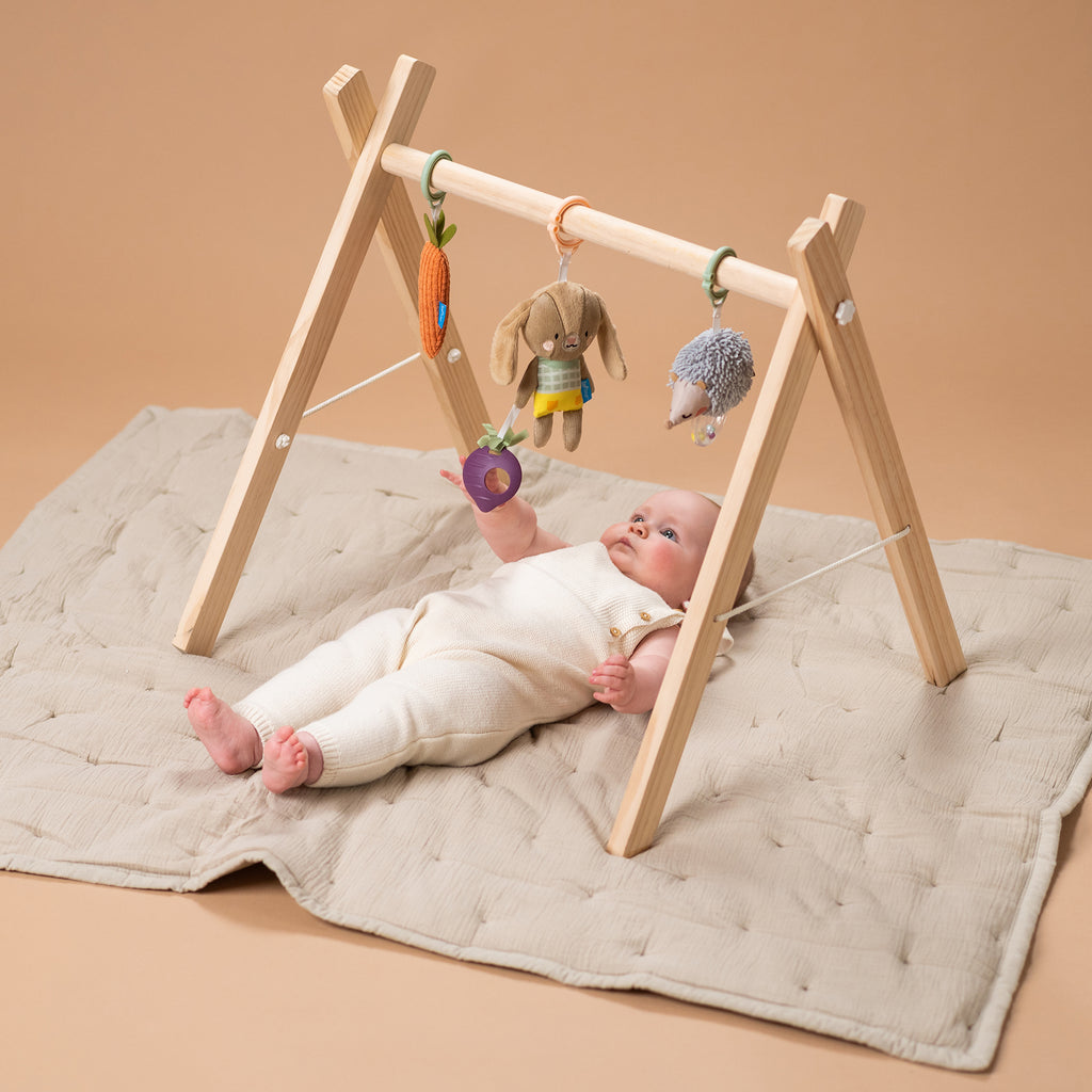 Urban Garden Baby Activity Toys Kit (3-Piece Set)