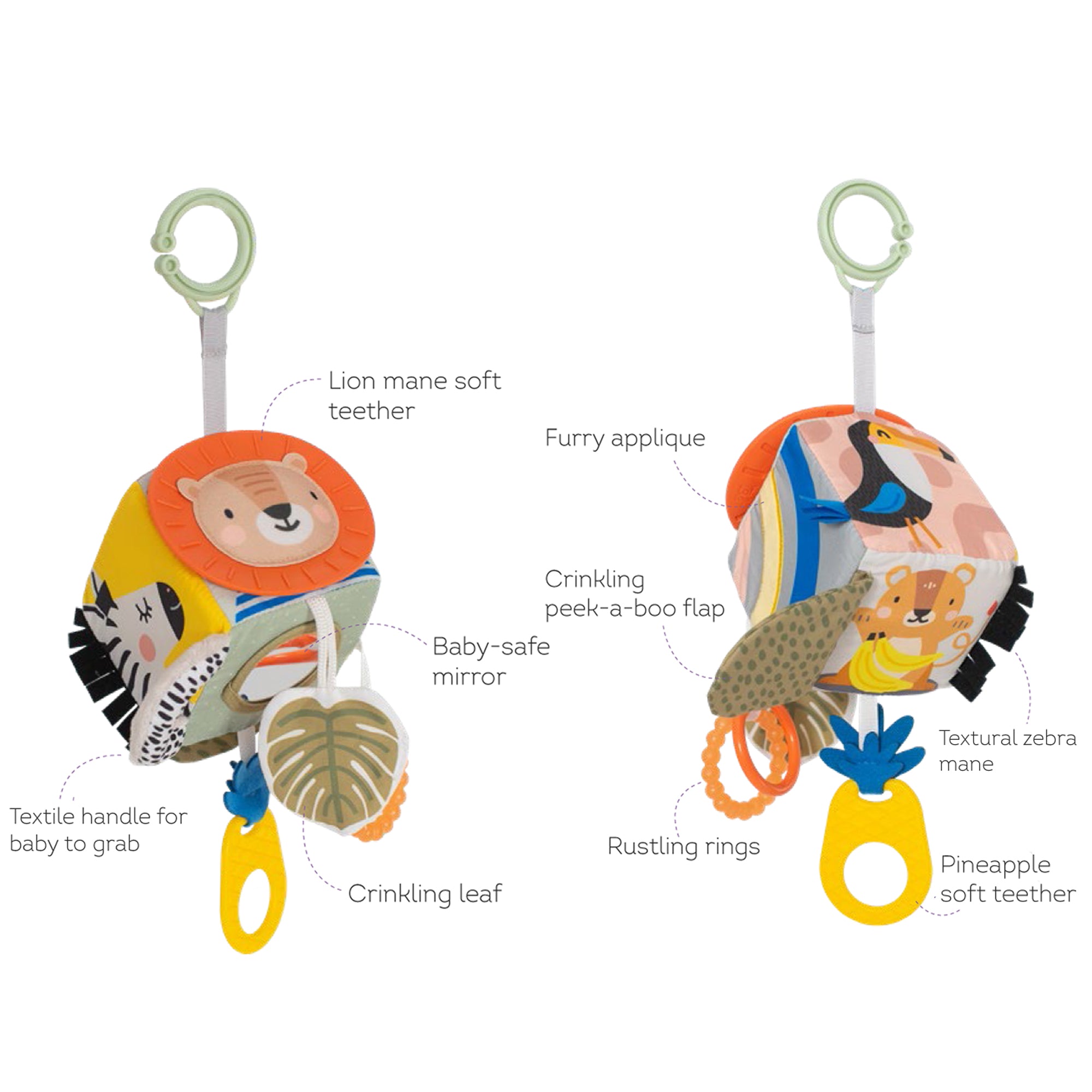 Savannah Discovery Cube