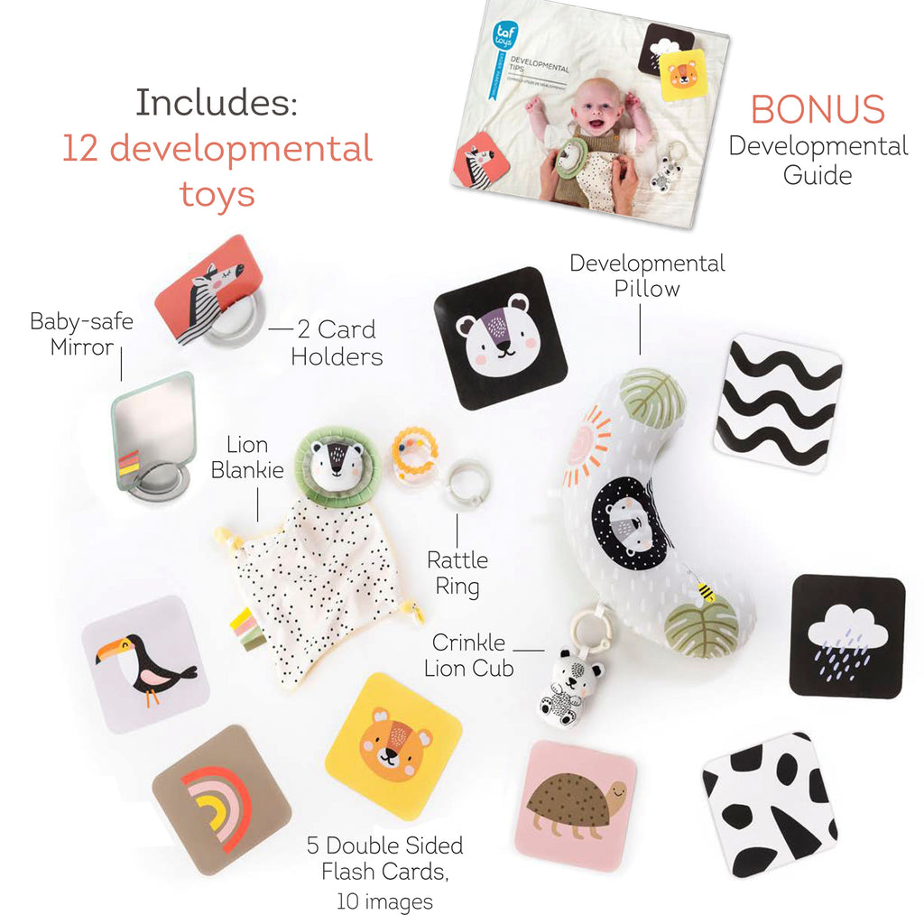 Hello Baby Newborn Developmental Toy Kit – 12 Pieces